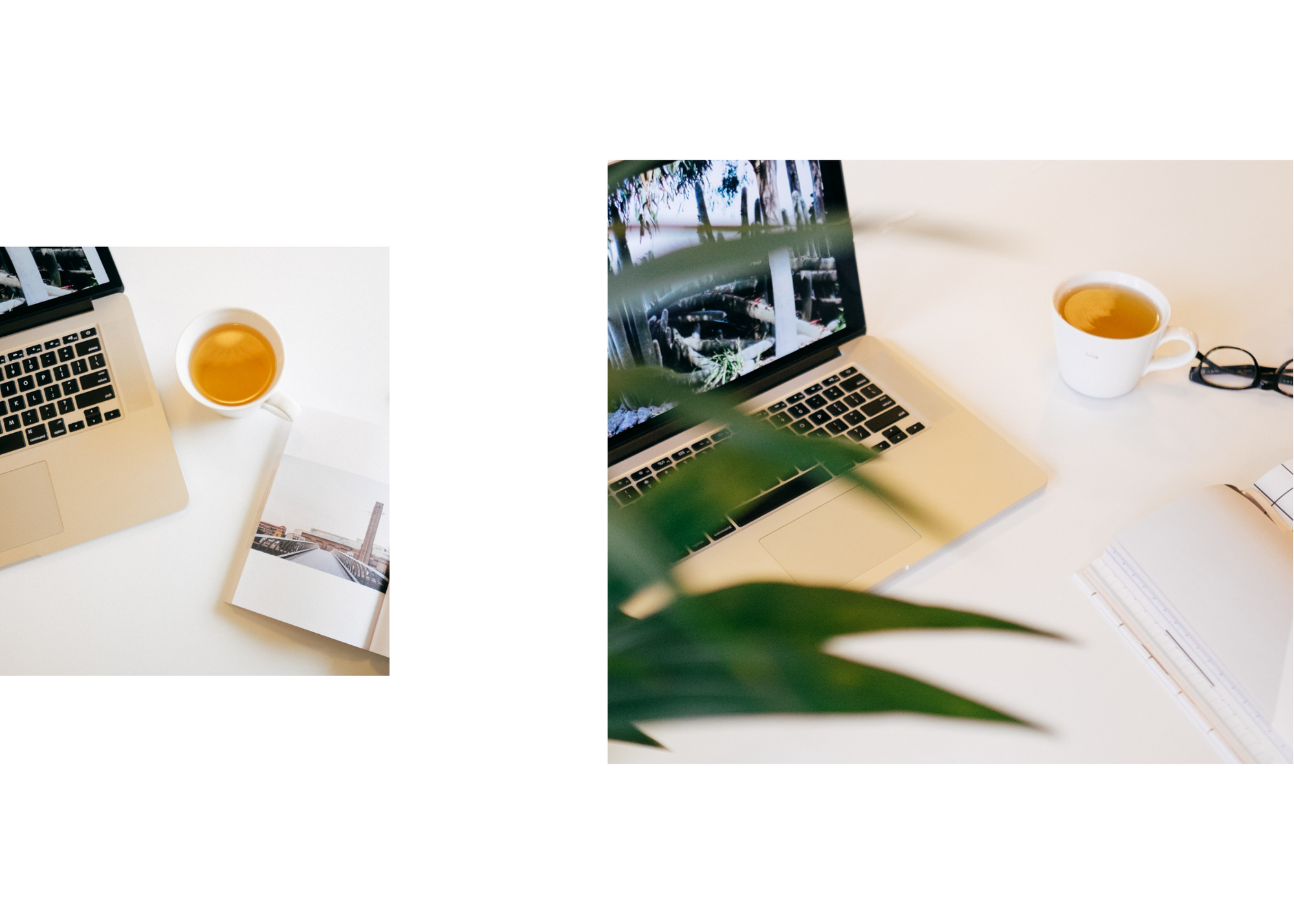 Janelle Grace Photography