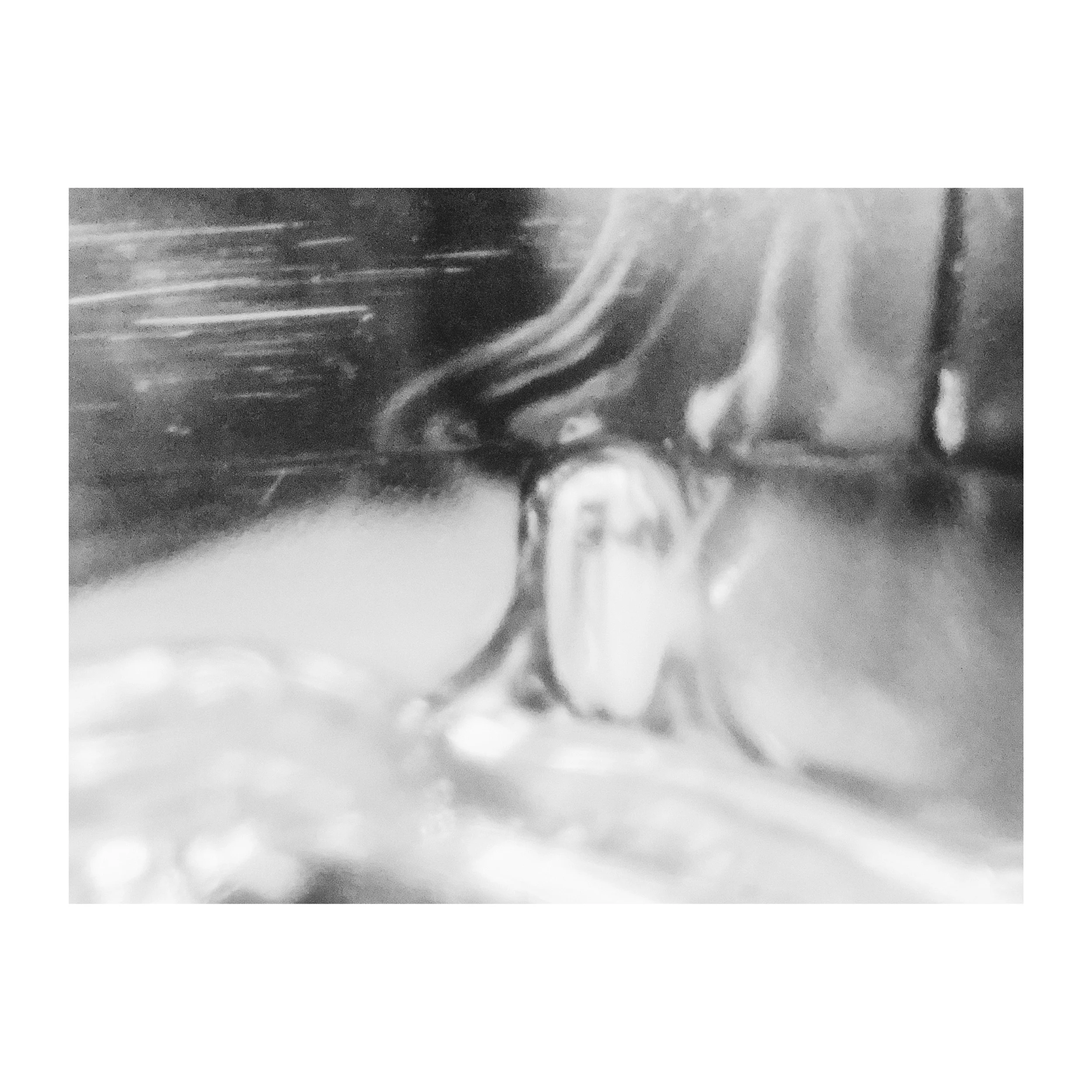 Processed with VSCO with fn16 preset