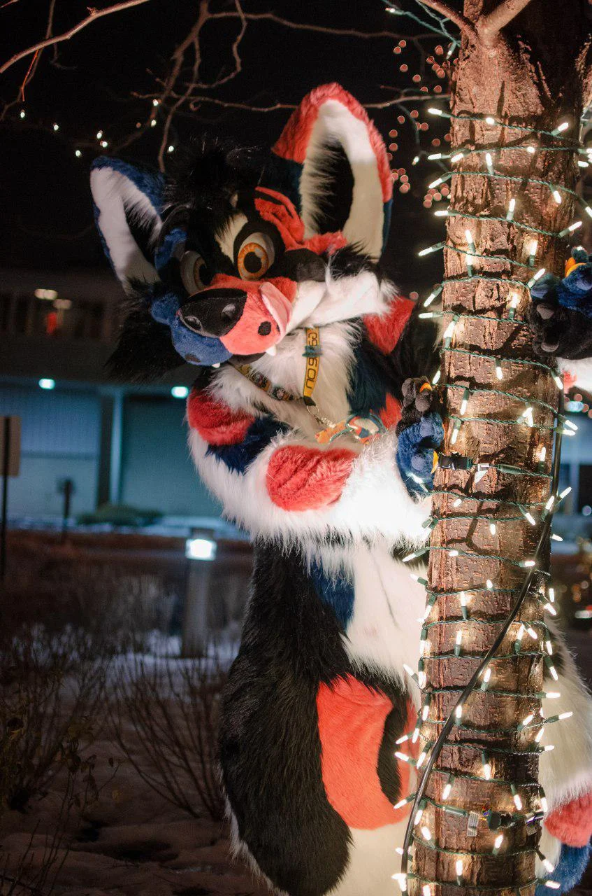 How Much Is A More Fur Less Fursuit at Ruth Leet blog
