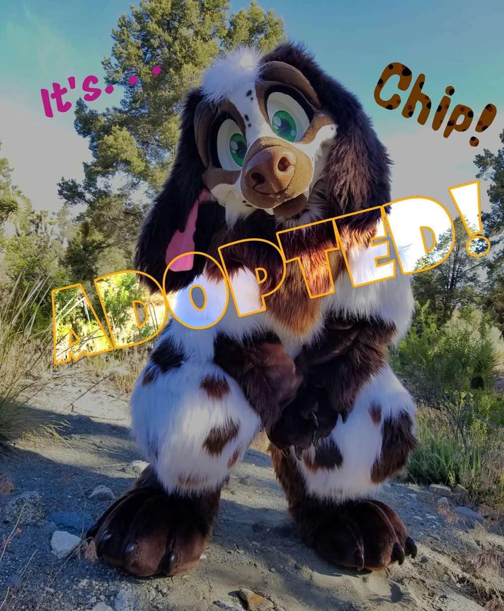 Buy a Fursuit Now — More Fur Less Adoptions — More Fur Less