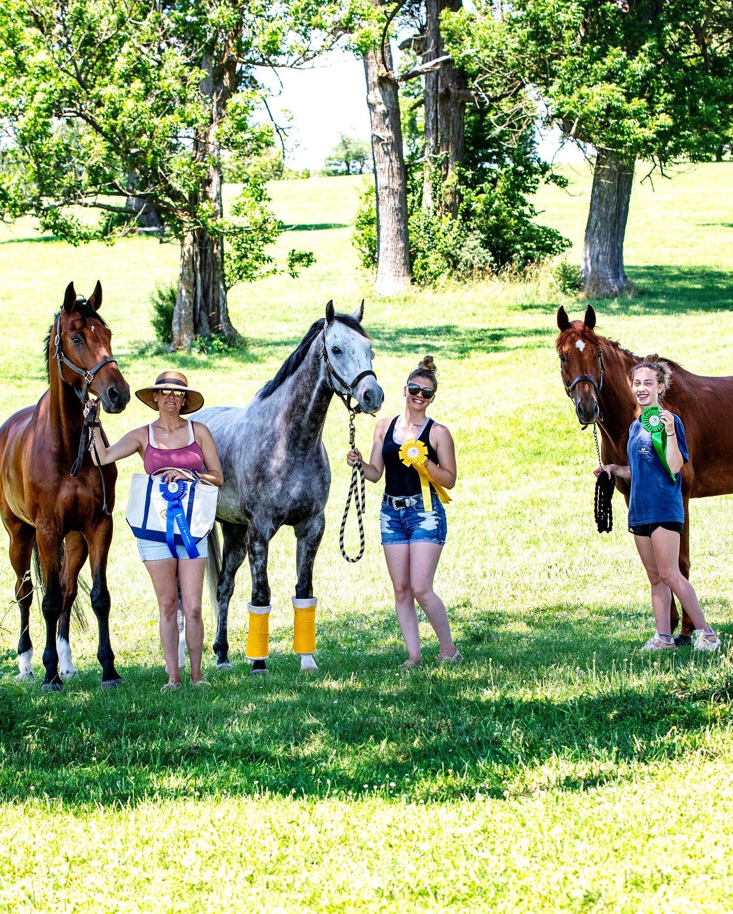 So proud of everyone this weekend at MidSouth! Jedi got another win under his belt with a little more to do cross country, Tiff and Mako finished 3rd at his first recognized Novice, Brooke and Benny finished their first recognized with a killer dress