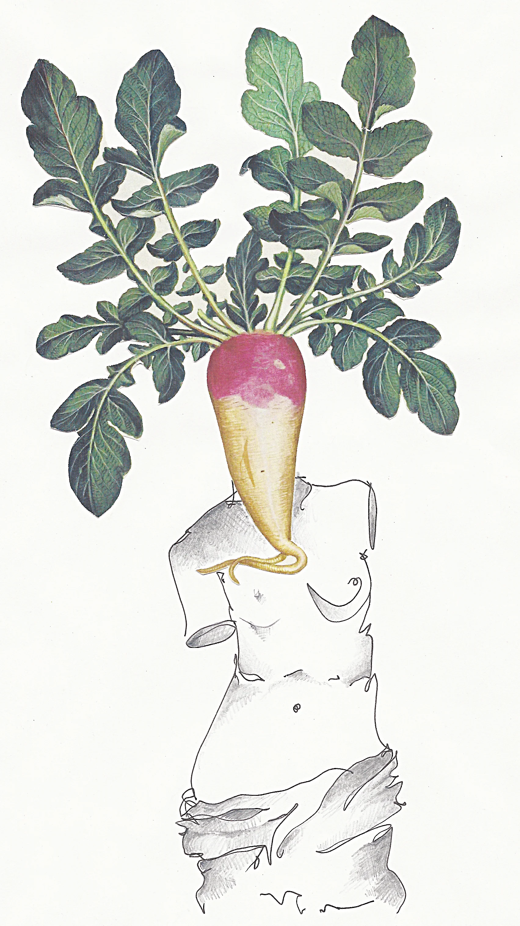 Imagen escaneada 5.jpg