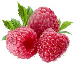 Norsk Bringebærfestival