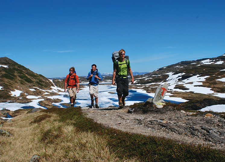 Selhamar_Rappenvatn_Stølsheimen03072008_Torill_Refsdal_Aase_Bergen_Turlag.png