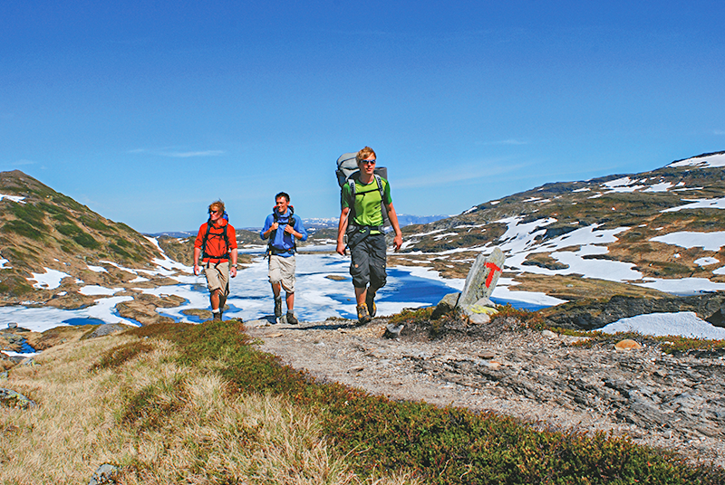 Vandring i Vik og ved Sognefjorden