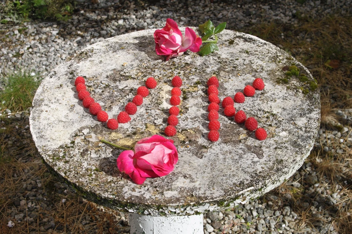 BRINGEBÆRFESTIVALEN 2022