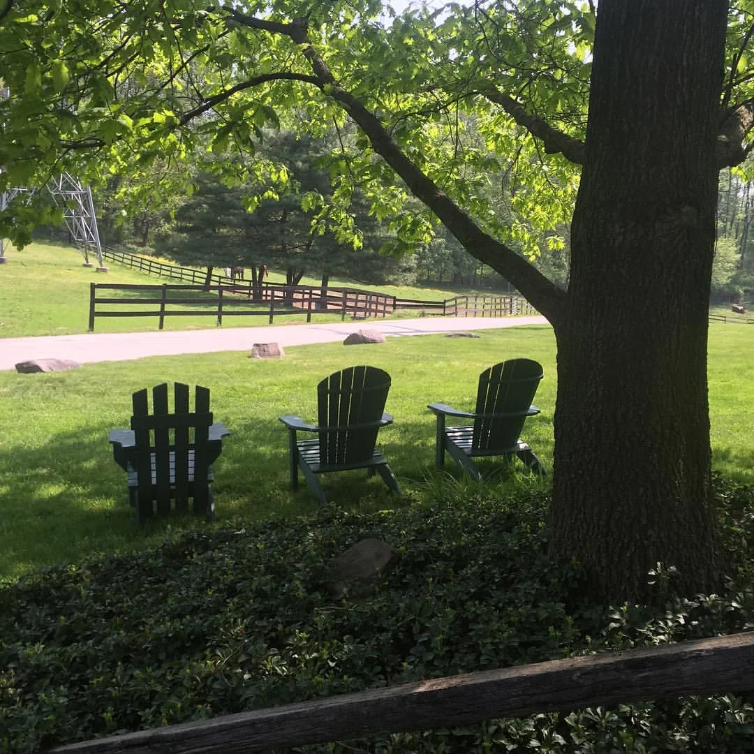 chairs.jpg