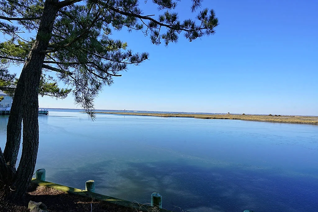 Nautilus bay copy.jpg