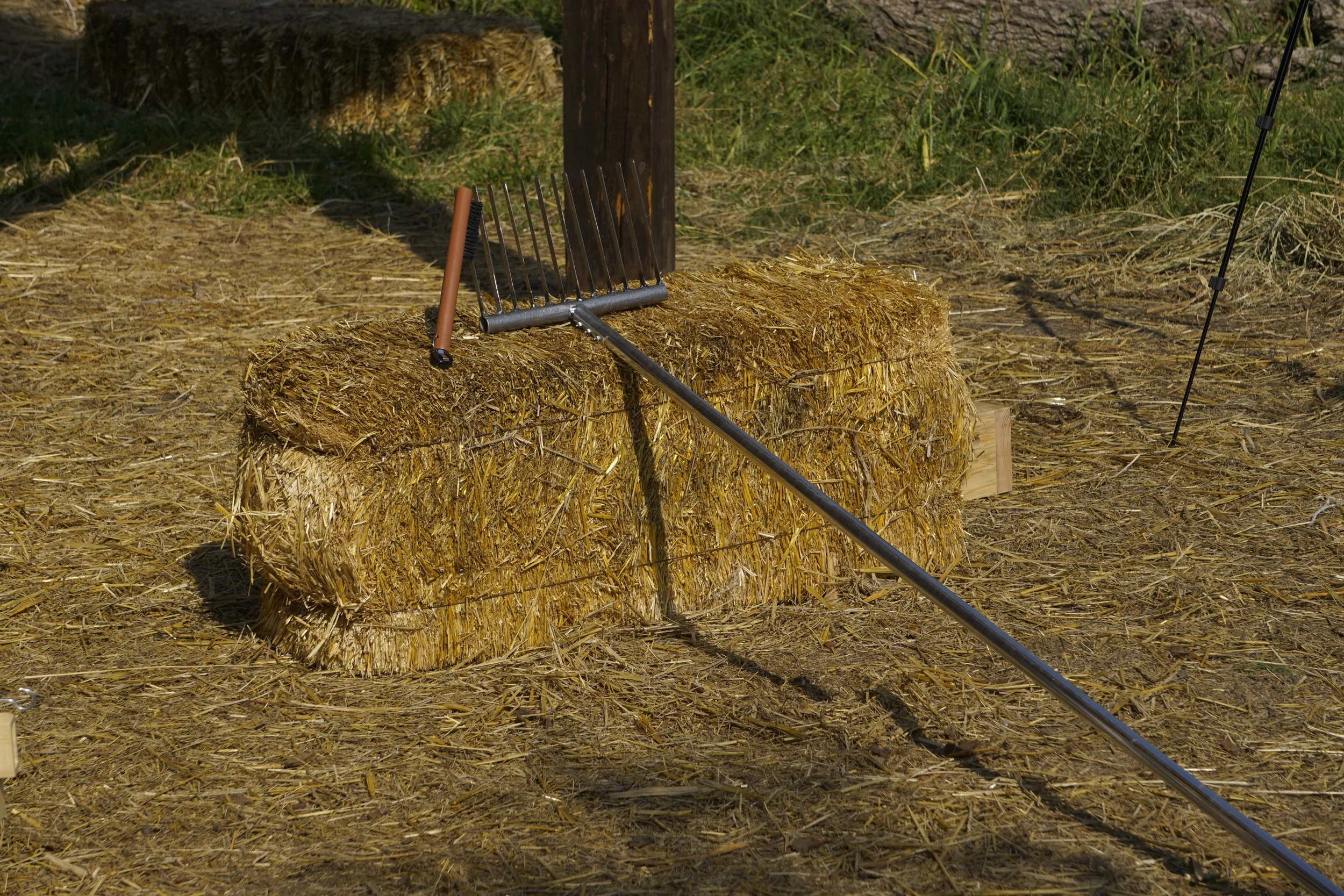 _DSC7095.jpeg