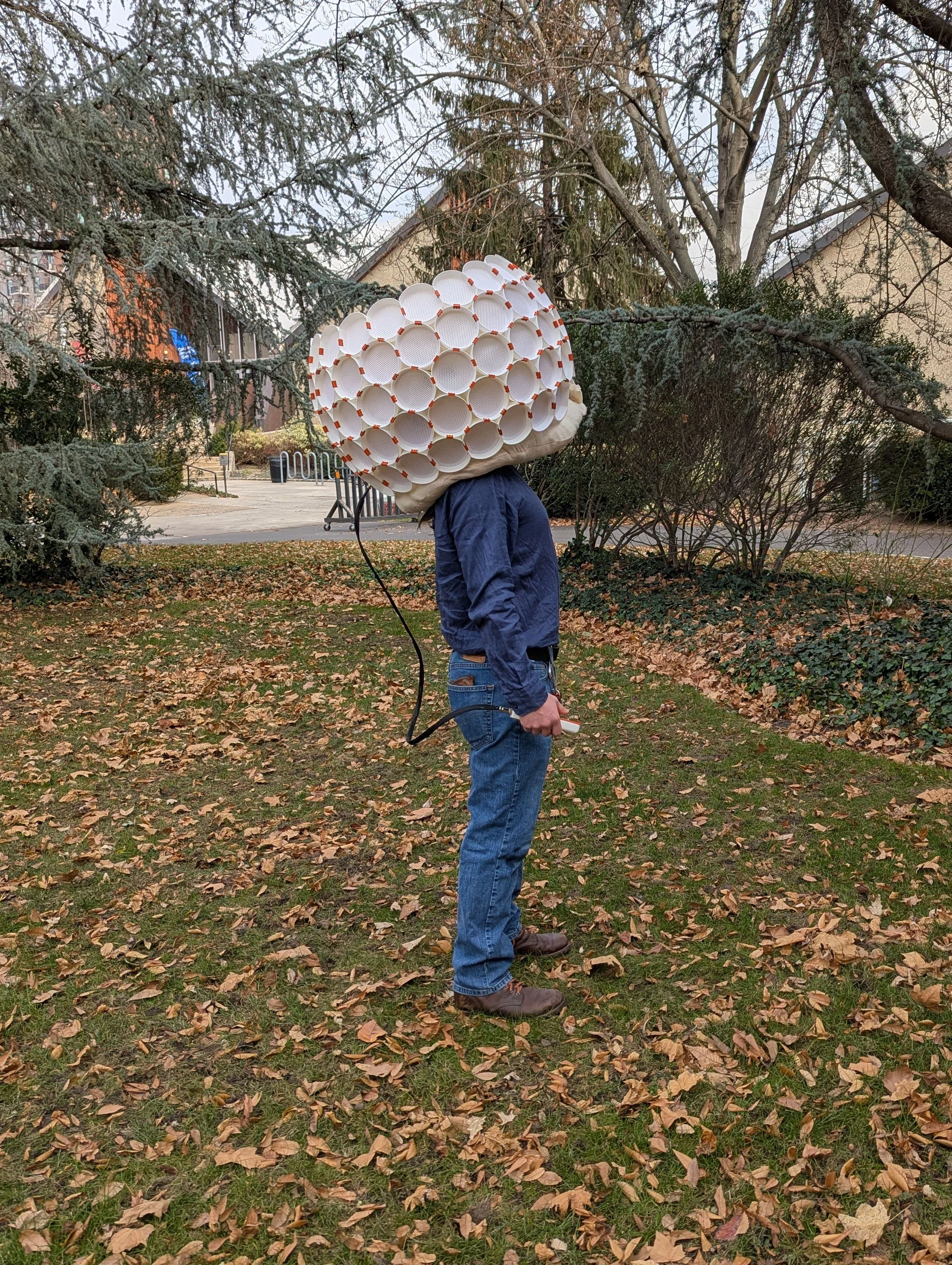 Joshua Cruz, Speculative Design