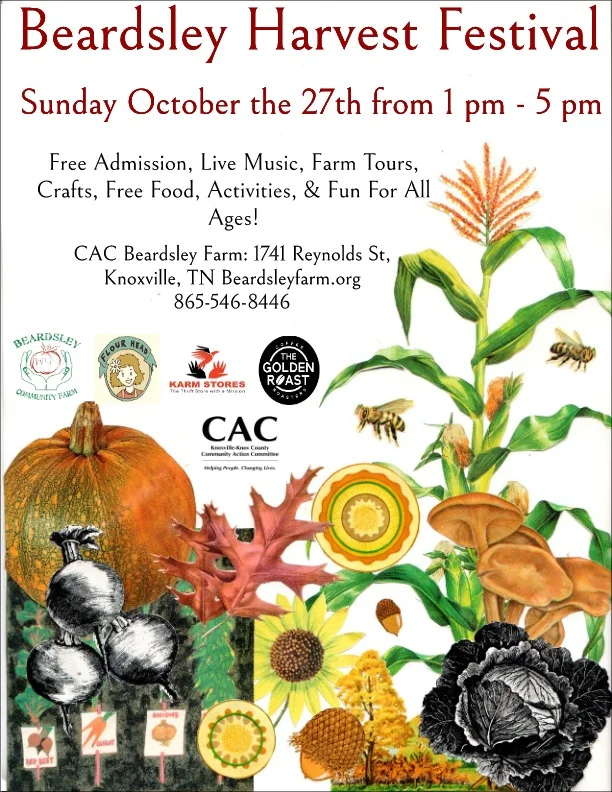 HarvestFestival2019Poster.jpg