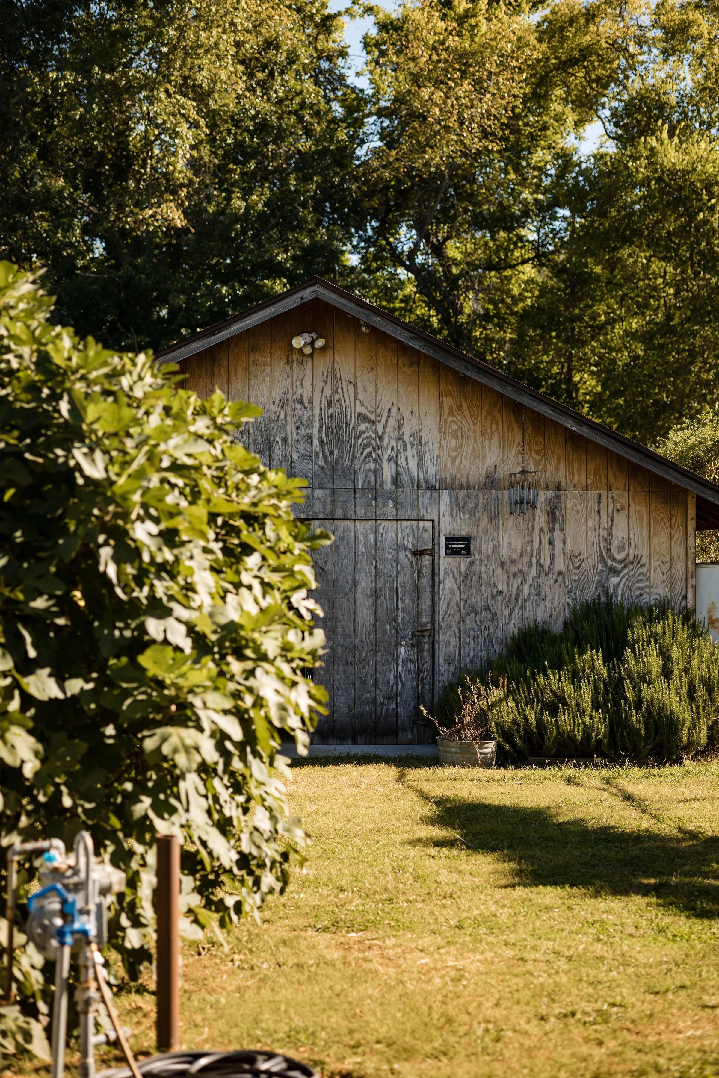 Beardsley_Community_Farm_2022-3063.jpg