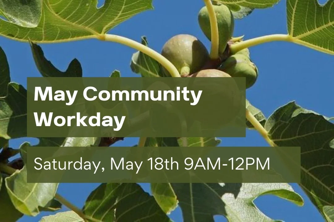 May Community Workday