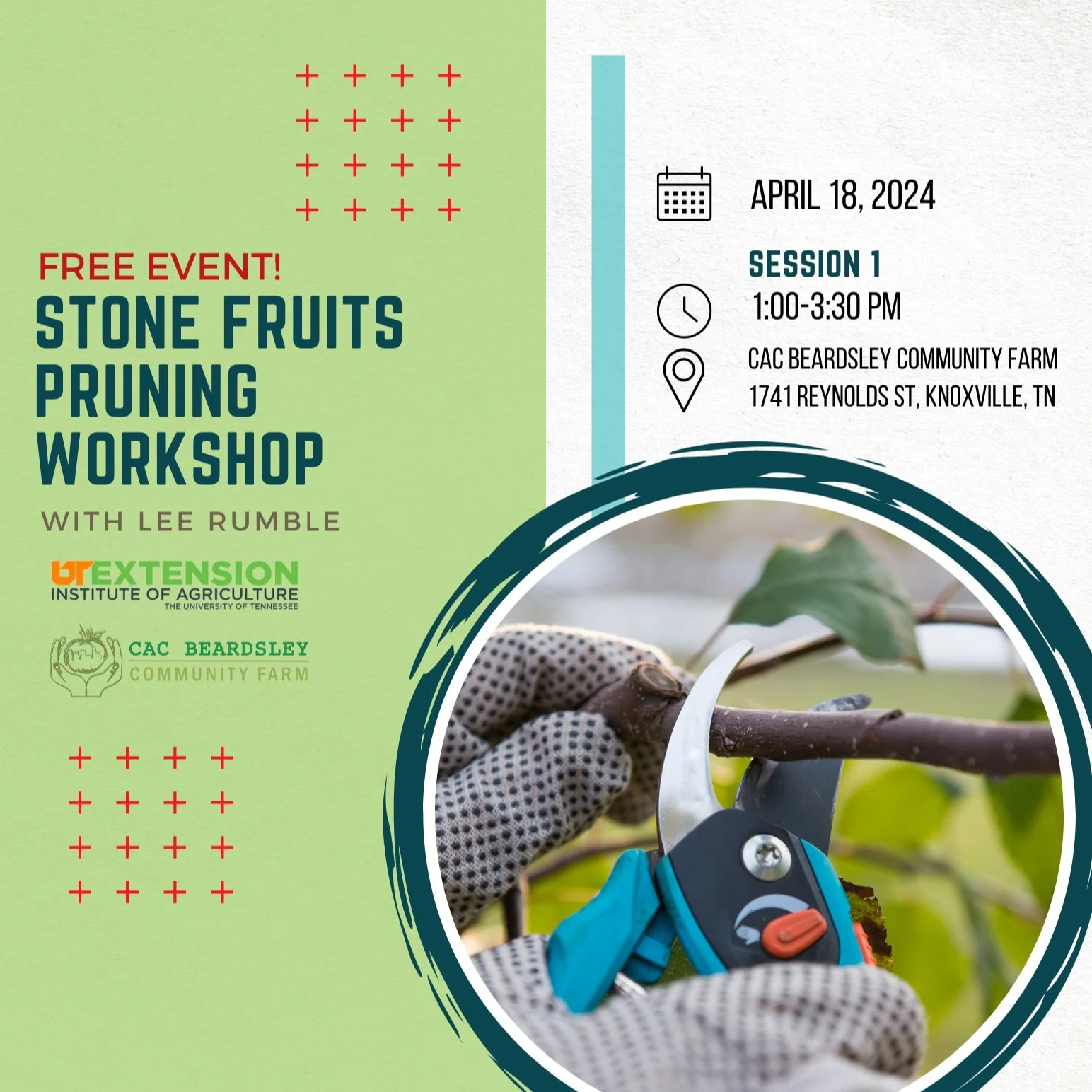Stone Fruit Pruning Workshop