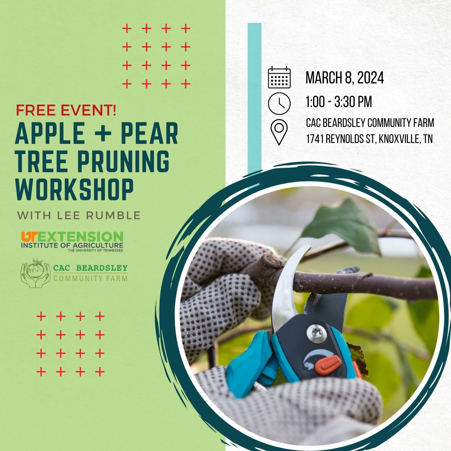 Apple & Pear Pruning Workshop with Lee Rumble