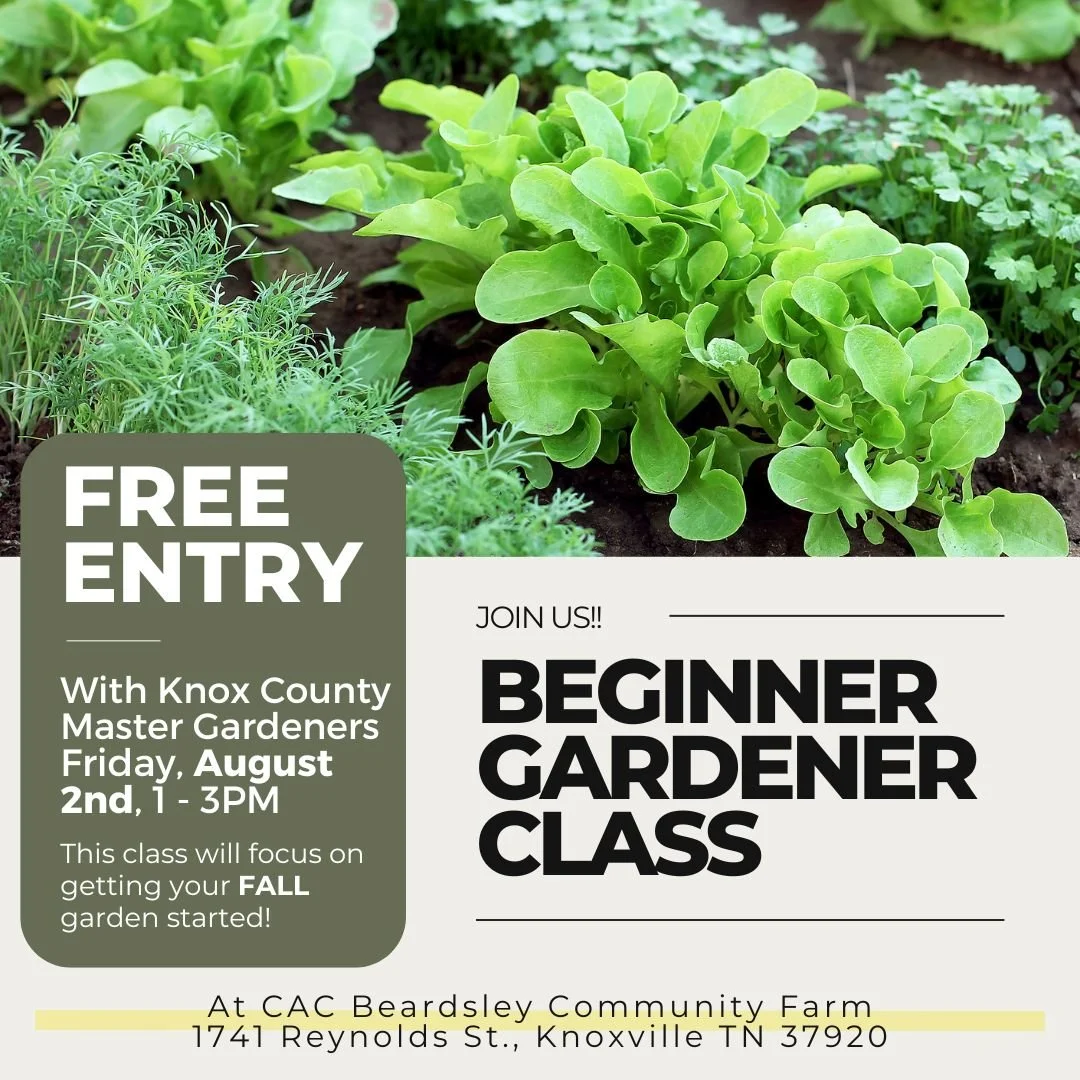 Beginner Gardener Class