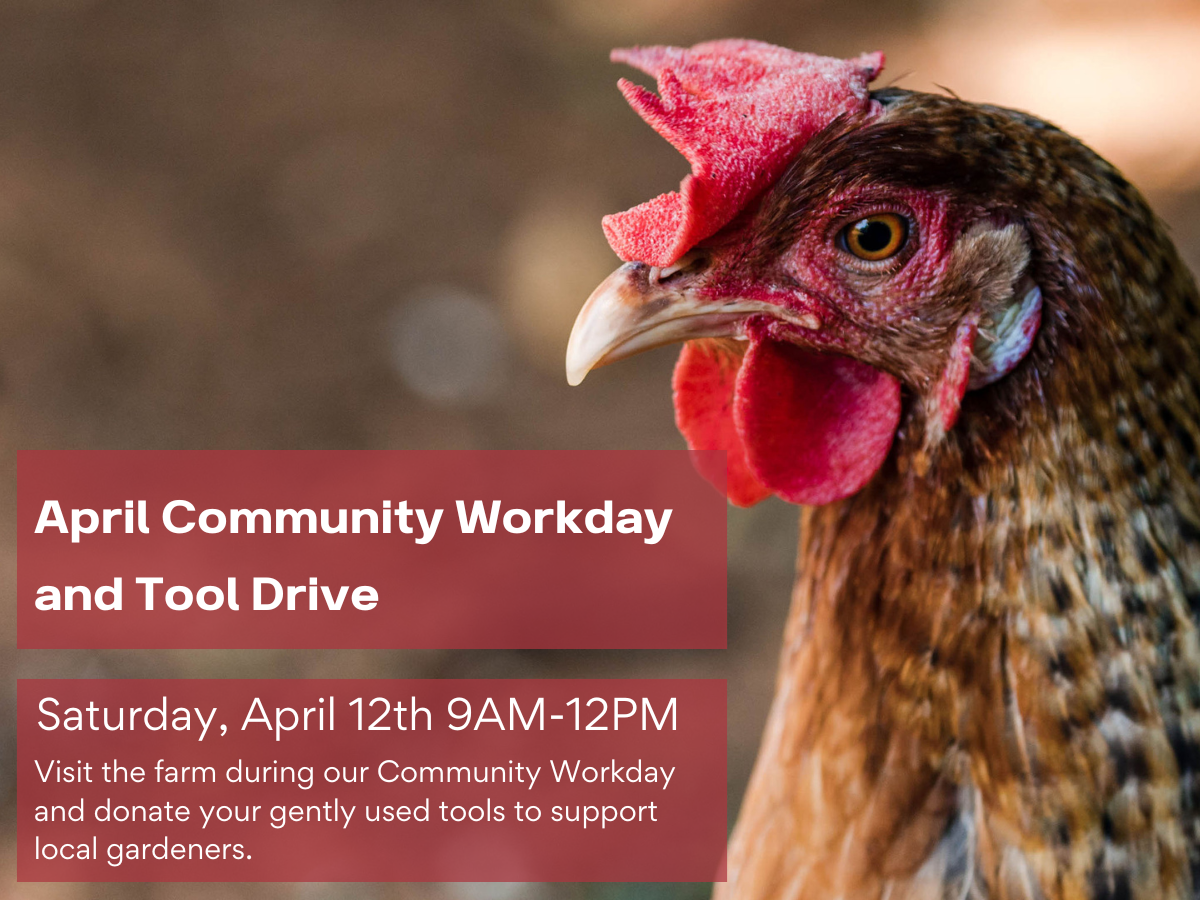 April Community Work Day and Tool Drive