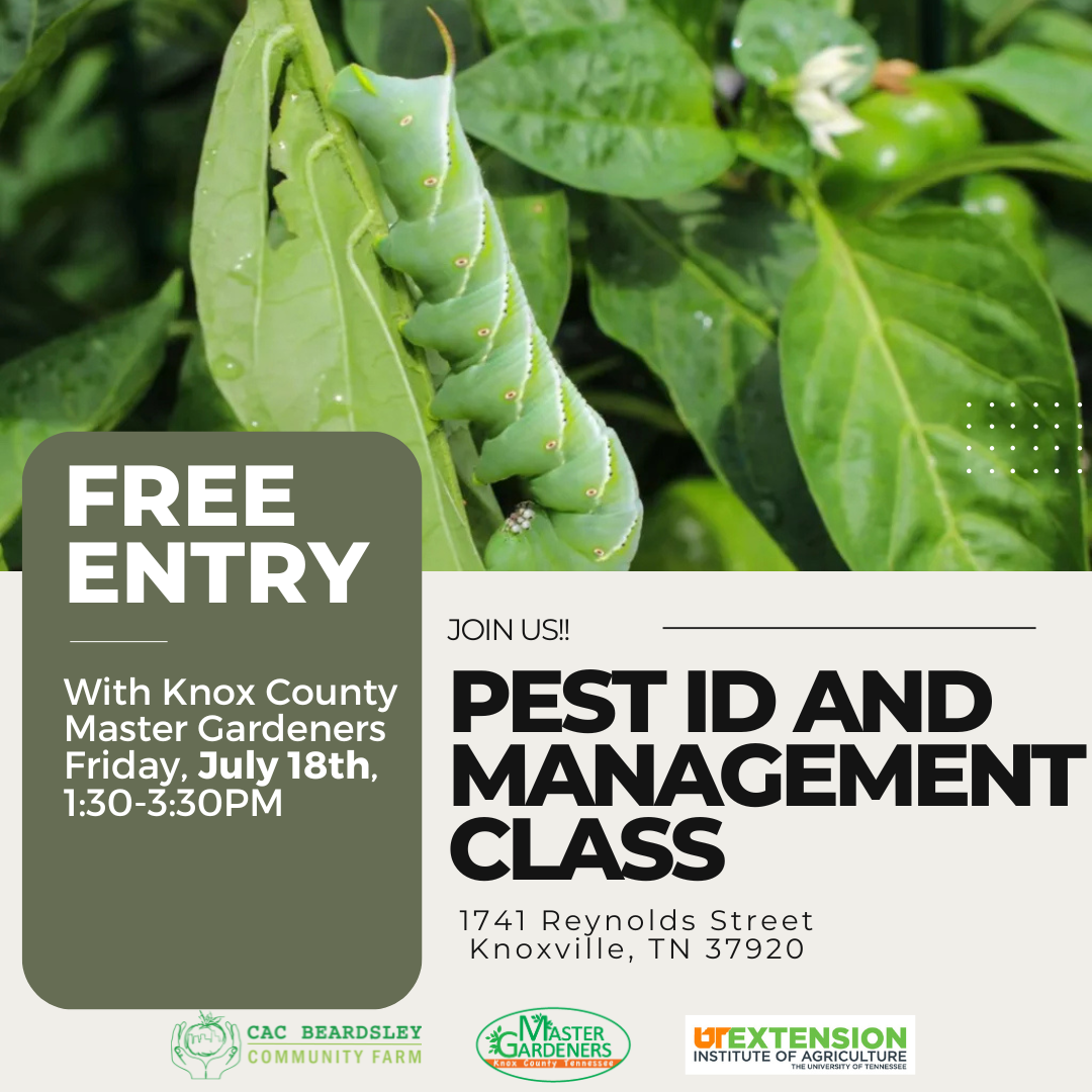 Pest ID and Management Class