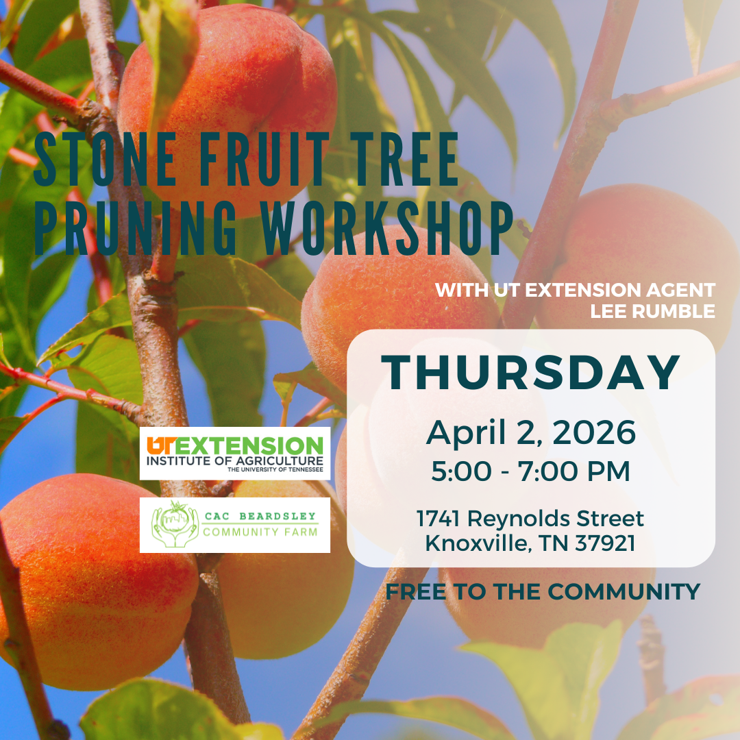 Stone Fruit Tree Pruning Workshop