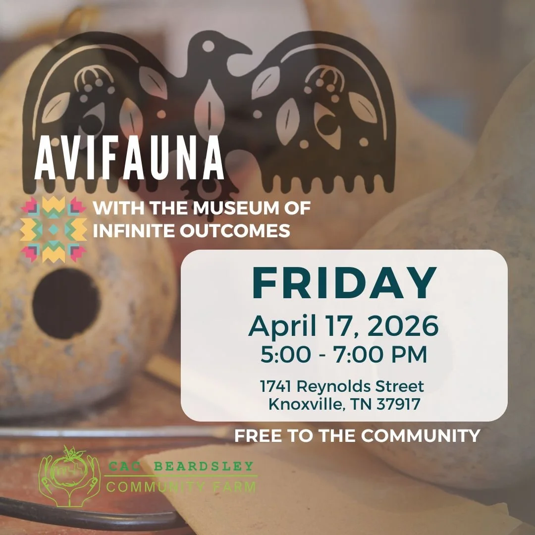 Avifauna Gourd House Building Workshop