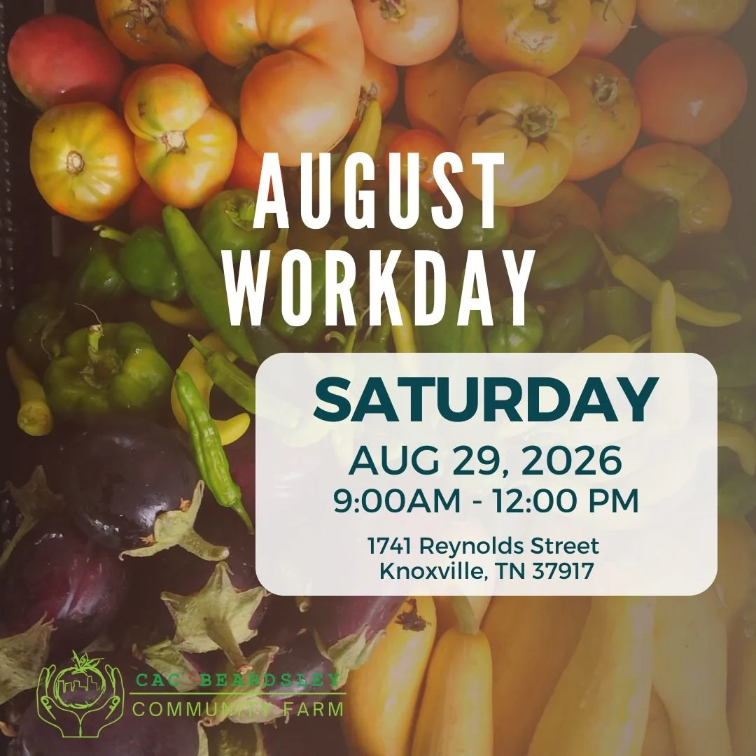 August Saturday Workday