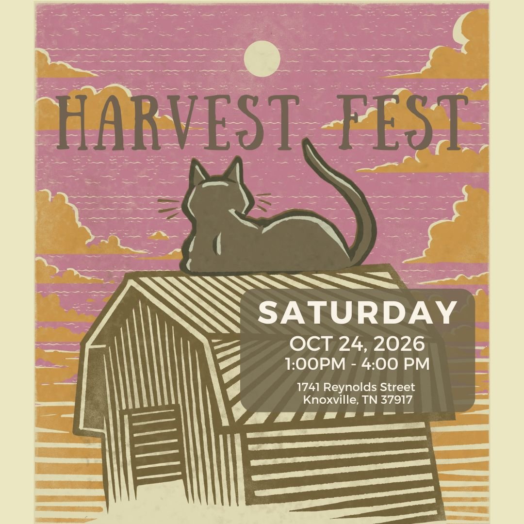 Harvest Fest