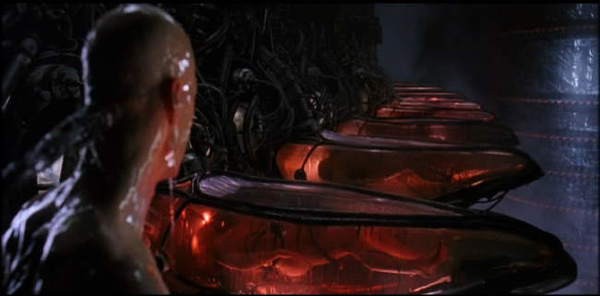 Neo wakes up.