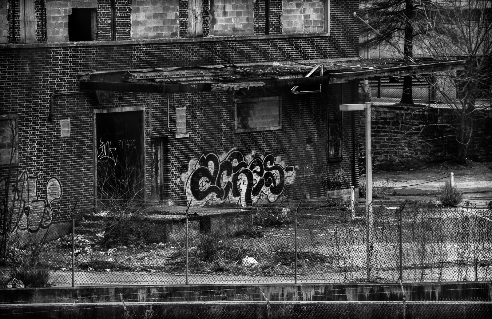 untitled-71-Edit-2.jpg