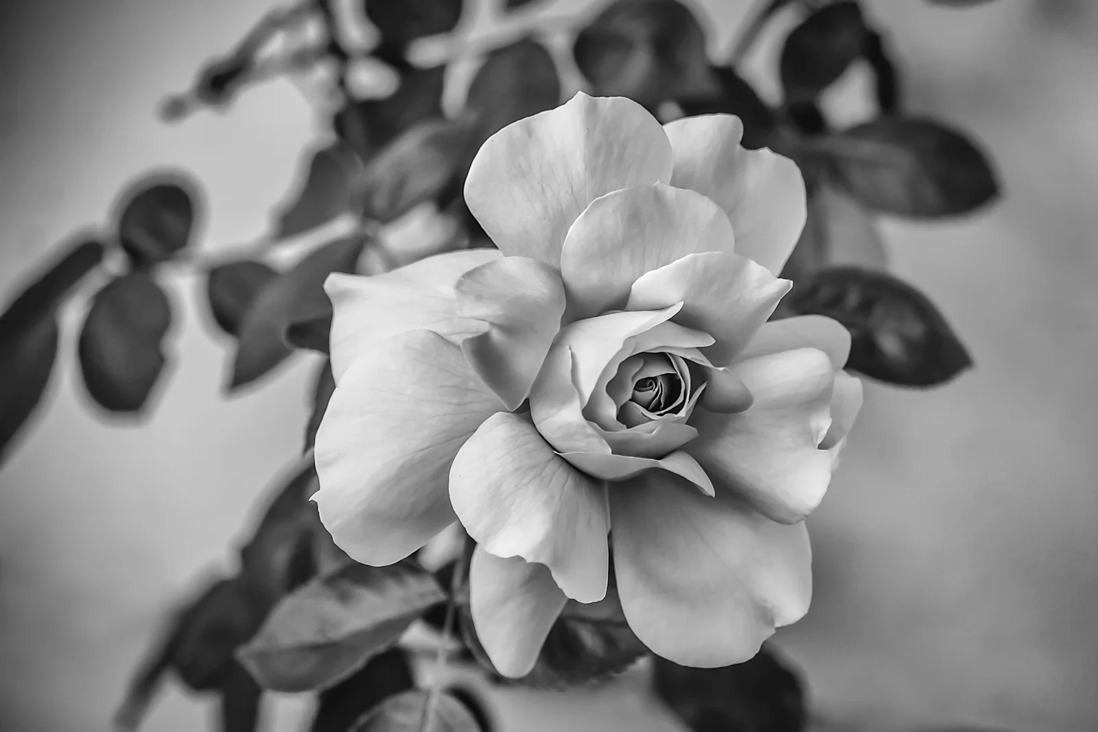 untitled-1-Edit-Edit.jpg