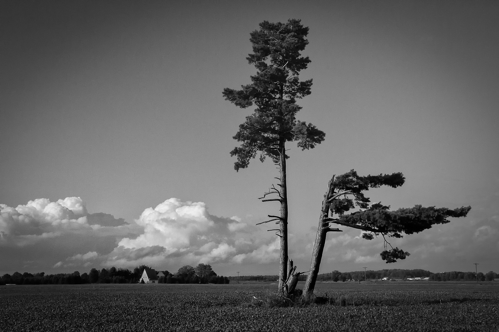 untitled-1-Edit-Edit-2.jpg