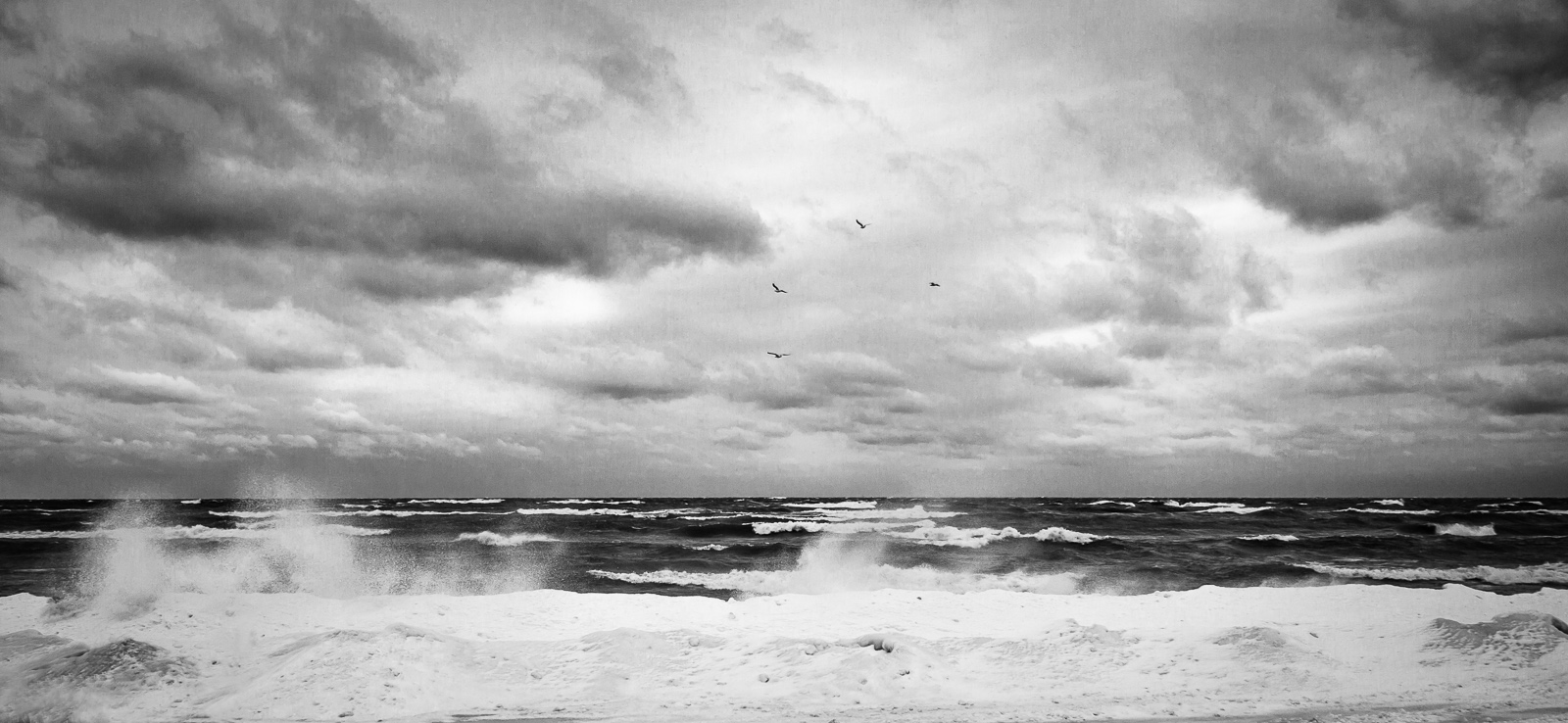 untitled-9-Edit.jpg