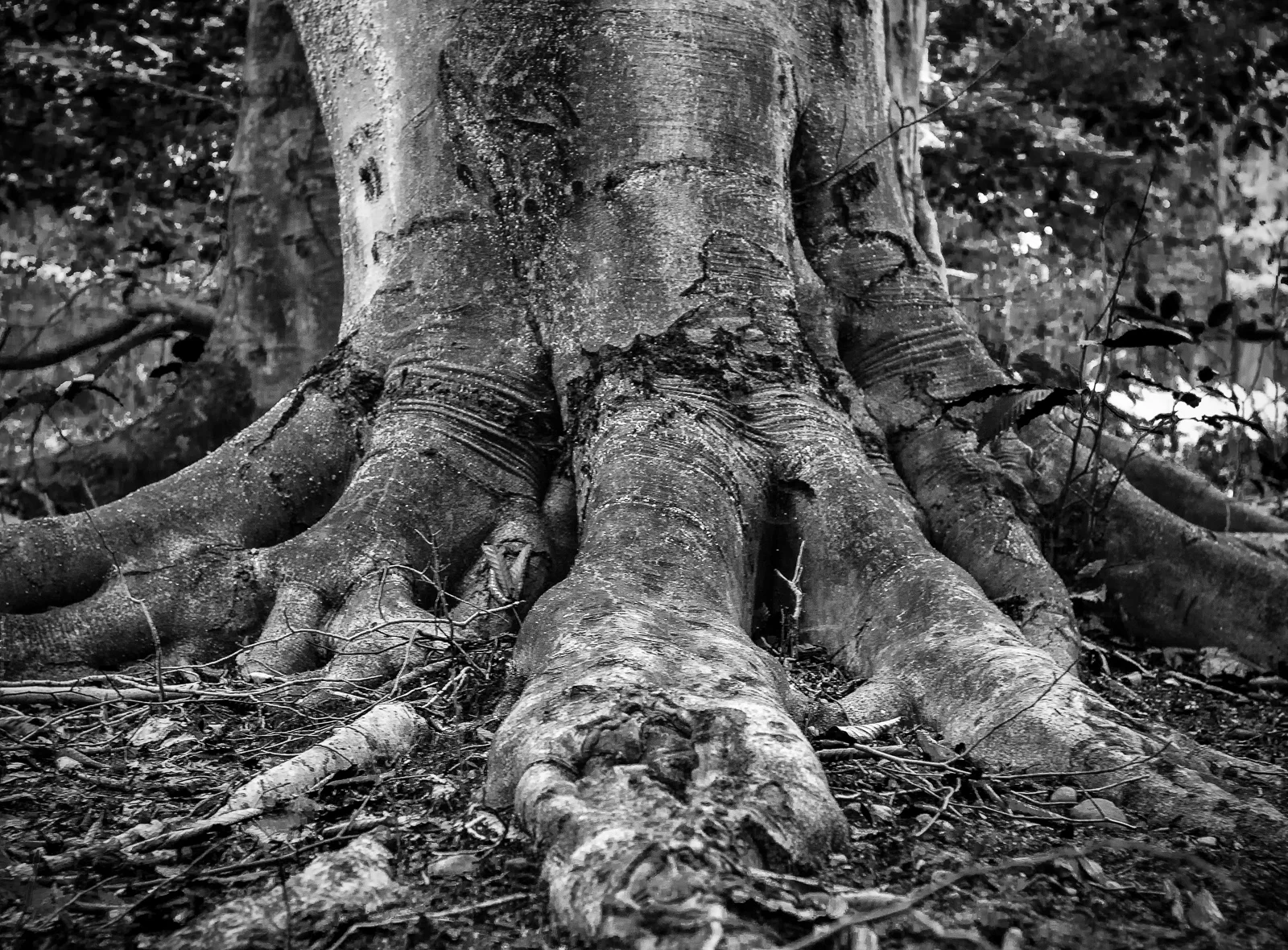 untitled-6-2-Edit-Edit.jpg