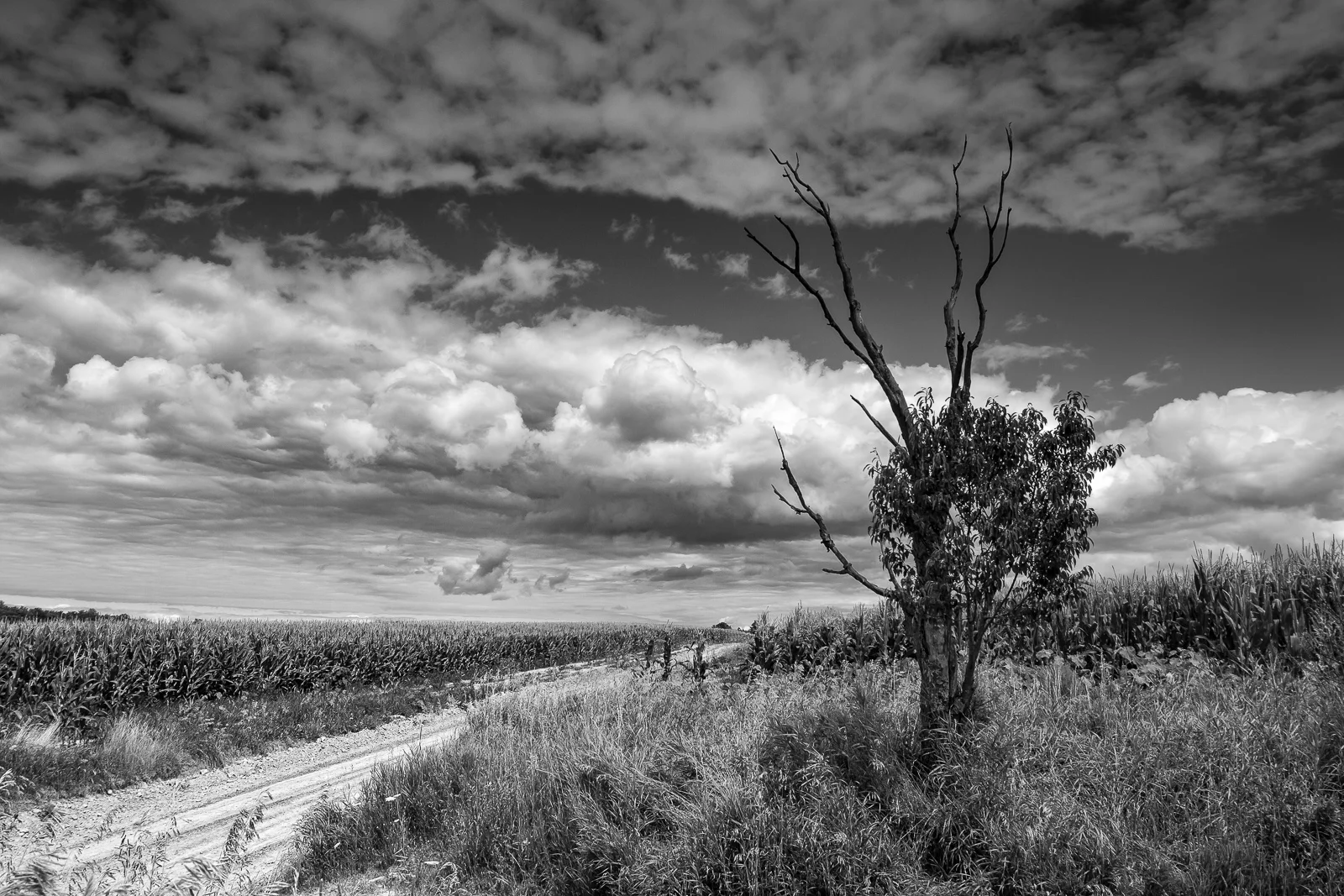untitled-90-Edit-Edit-Edit.jpg