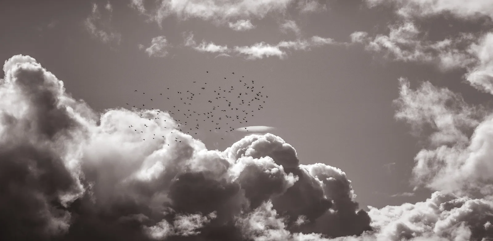 untitled-376-Edit-Edit.jpg