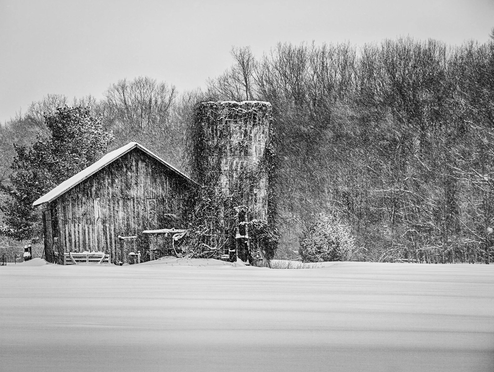untitled-1-Edit.jpg