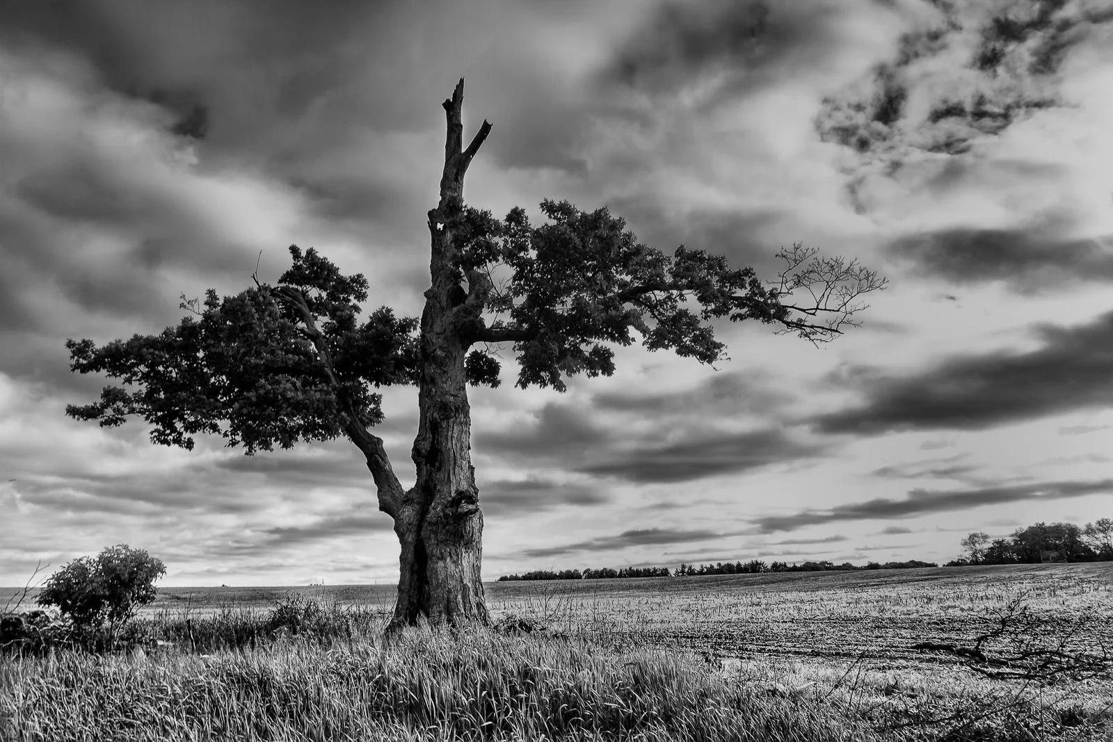 untitled-26-Edit-Edit.jpg