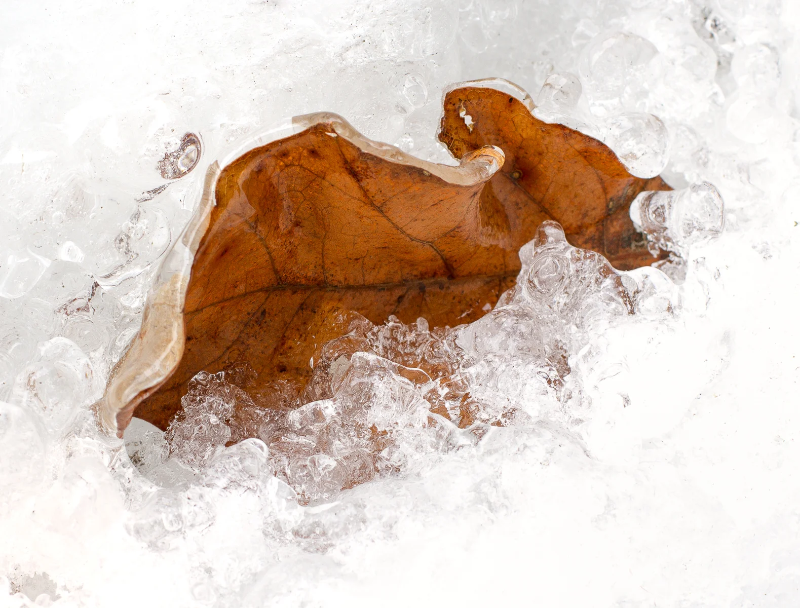 untitled-17-Edit.jpg