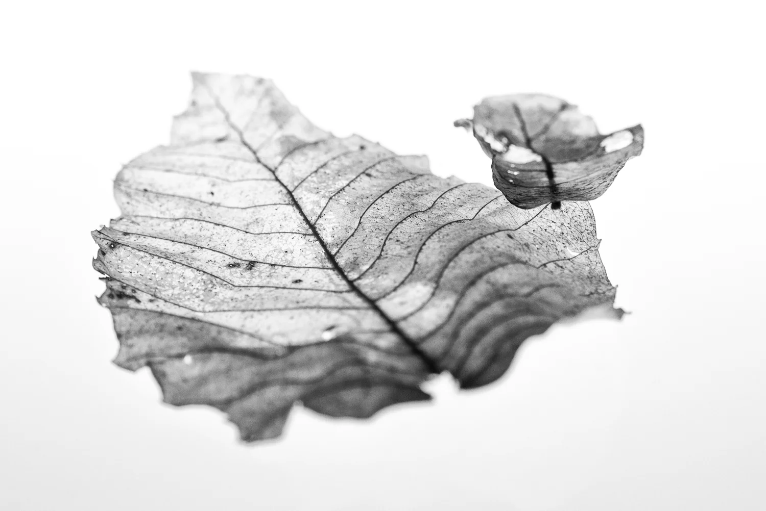untitled-2-2.jpg