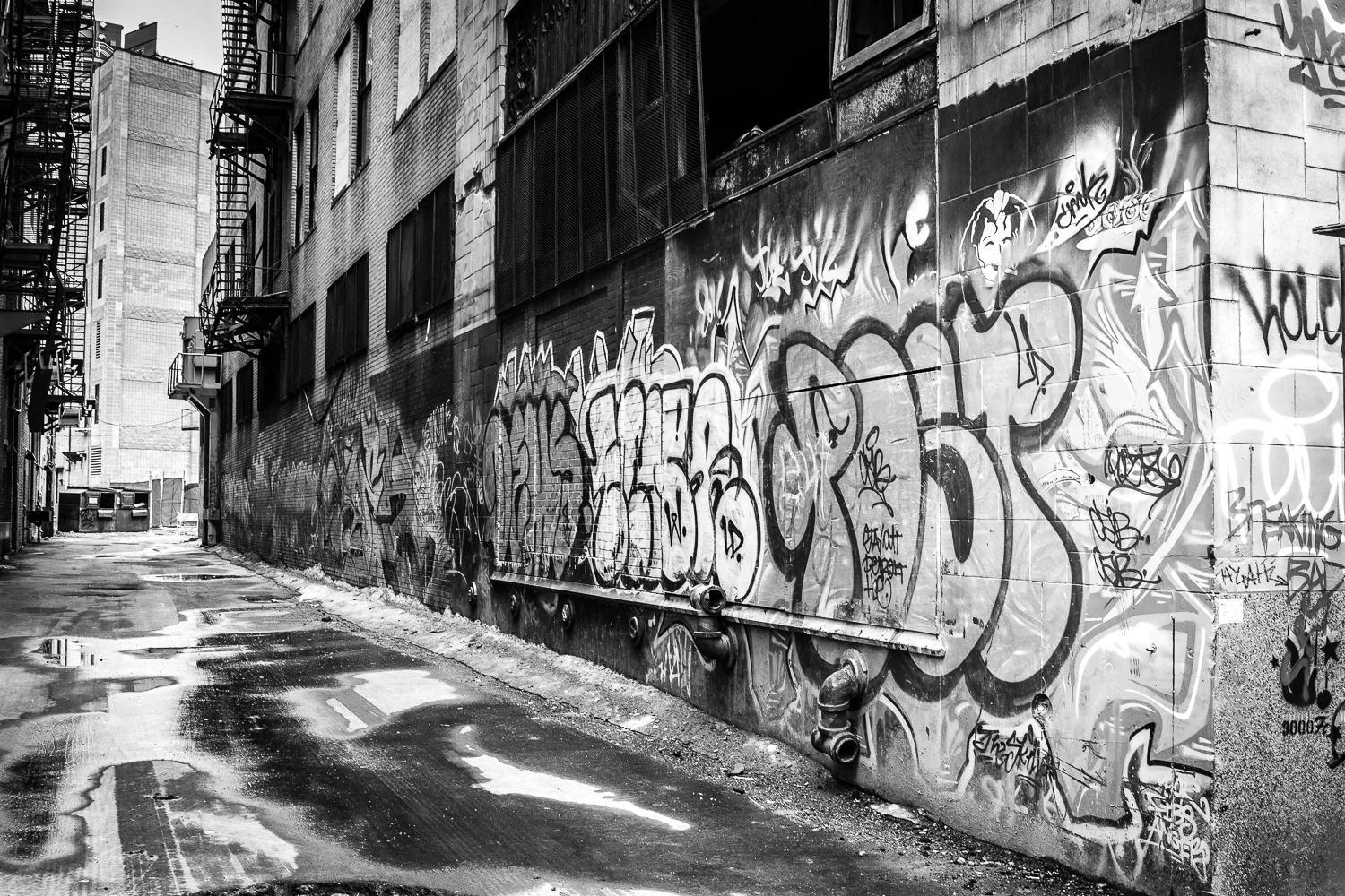 untitled-10.jpg