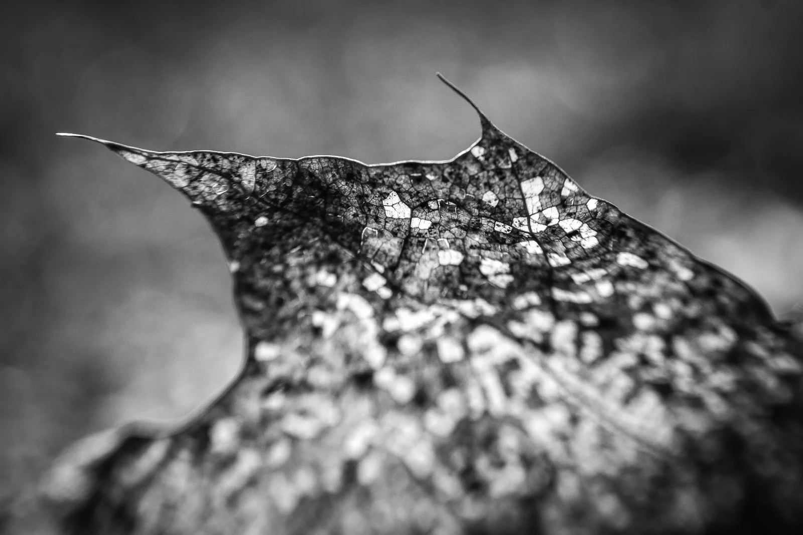 untitled-70.jpg