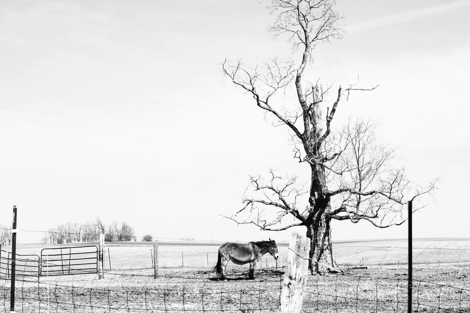 untitled-195.jpg