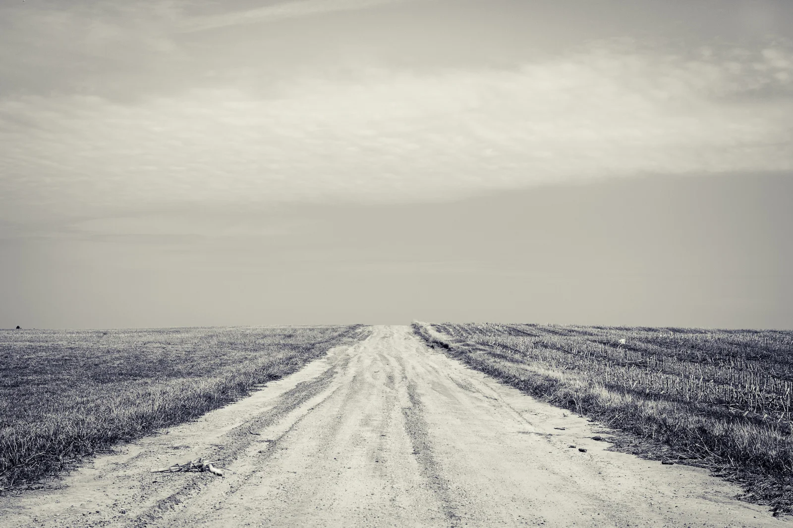 untitled-196.jpg