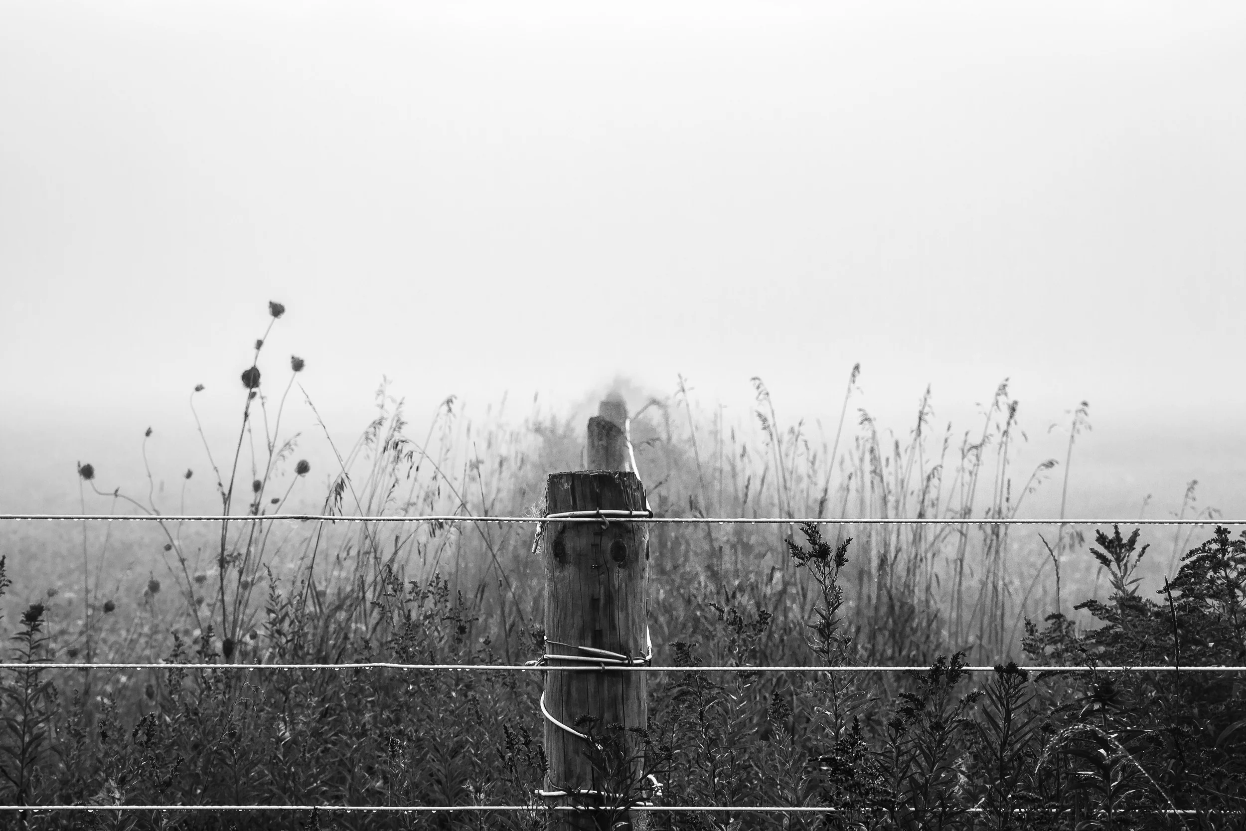 untitled-26-Edit.jpg