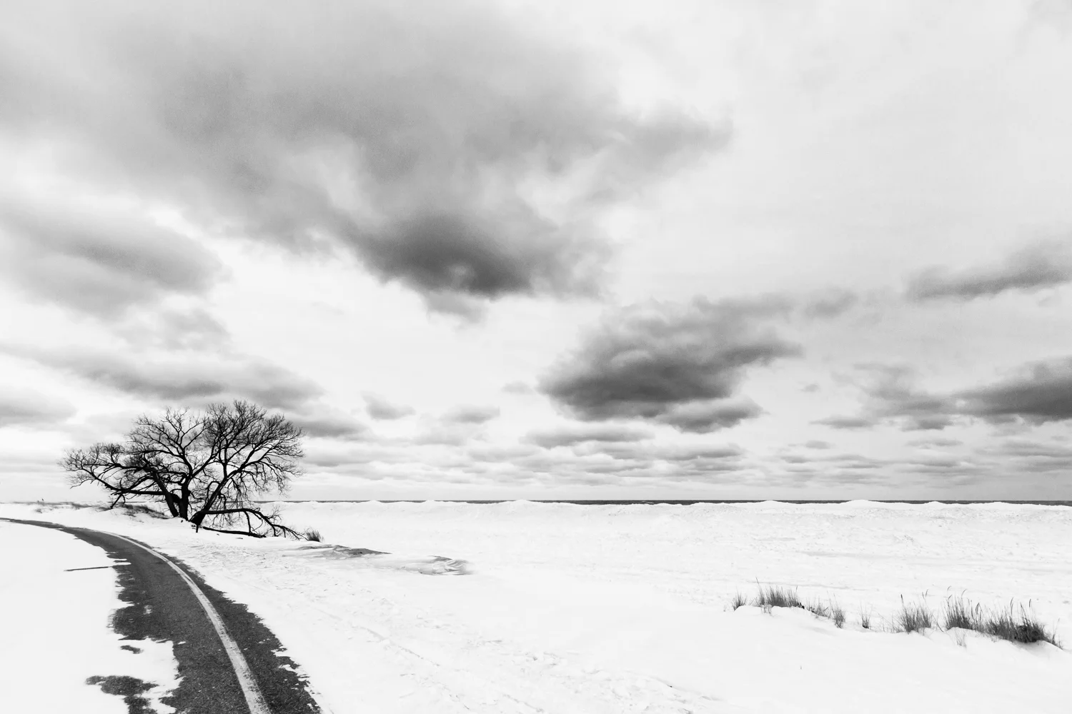 Road to Somewhere-1.jpg