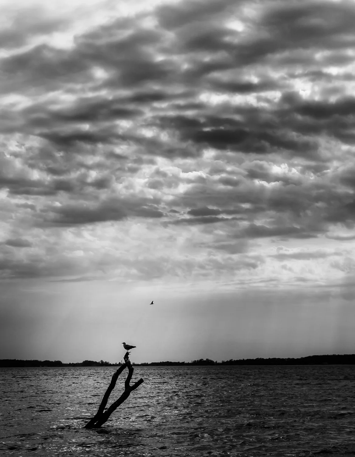The Lookout-1.jpg