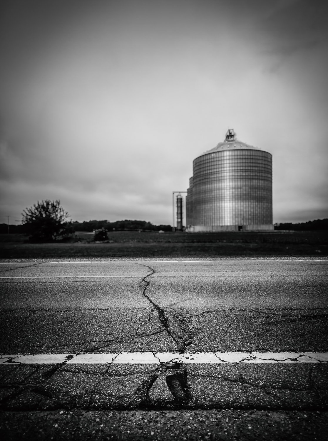 Land of Oz-1.jpg