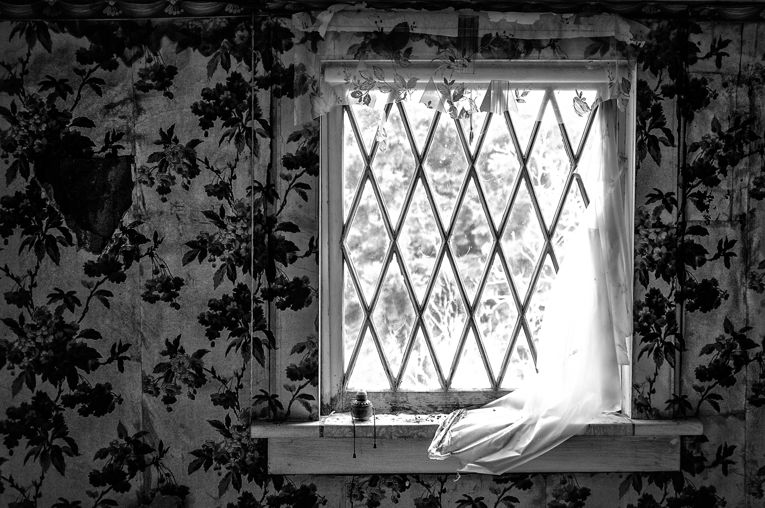 Window-1.jpg