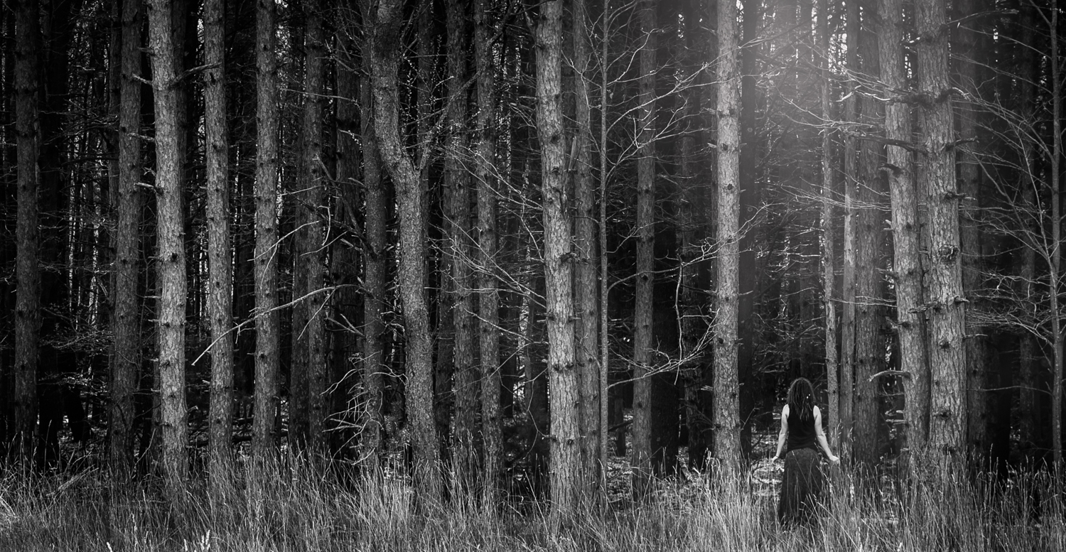Daughter of the Forest-1.jpg