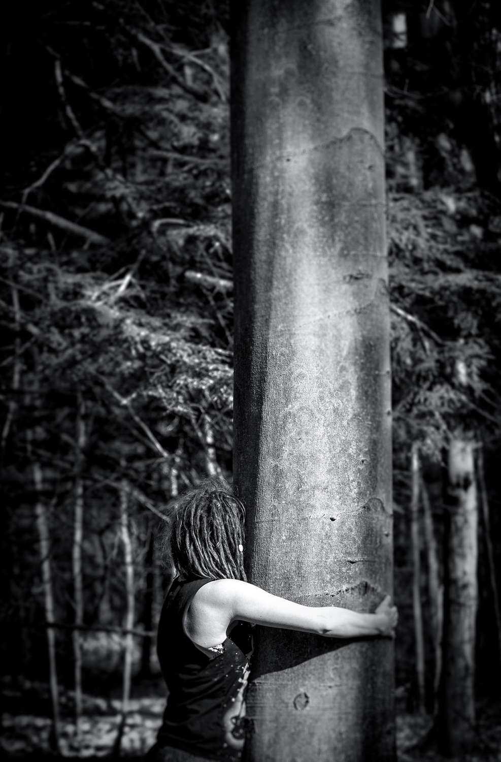 The Giving Tree-1.jpg