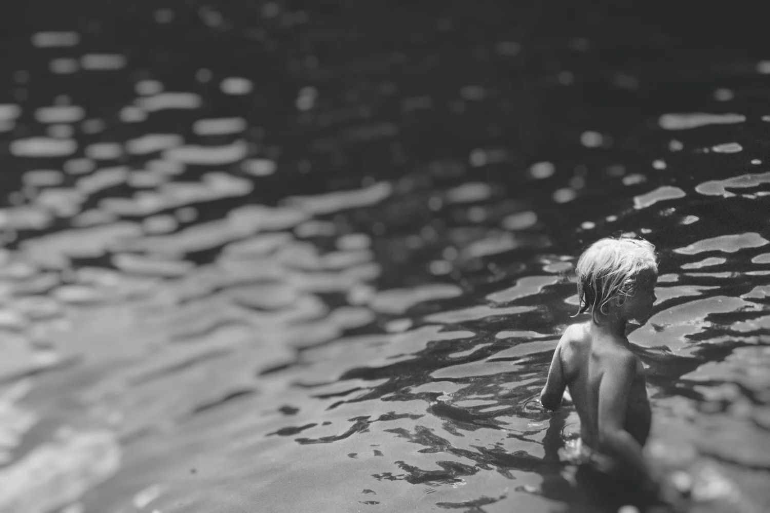 Wading-1.jpg